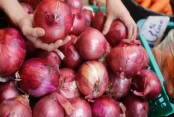 1650 MT onion coming from India tonight: State minister