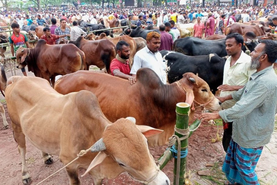 No plan to import sacrificial animals this year: Rahman