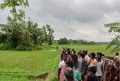 BSF kills one more Bangladeshi in Cumilla