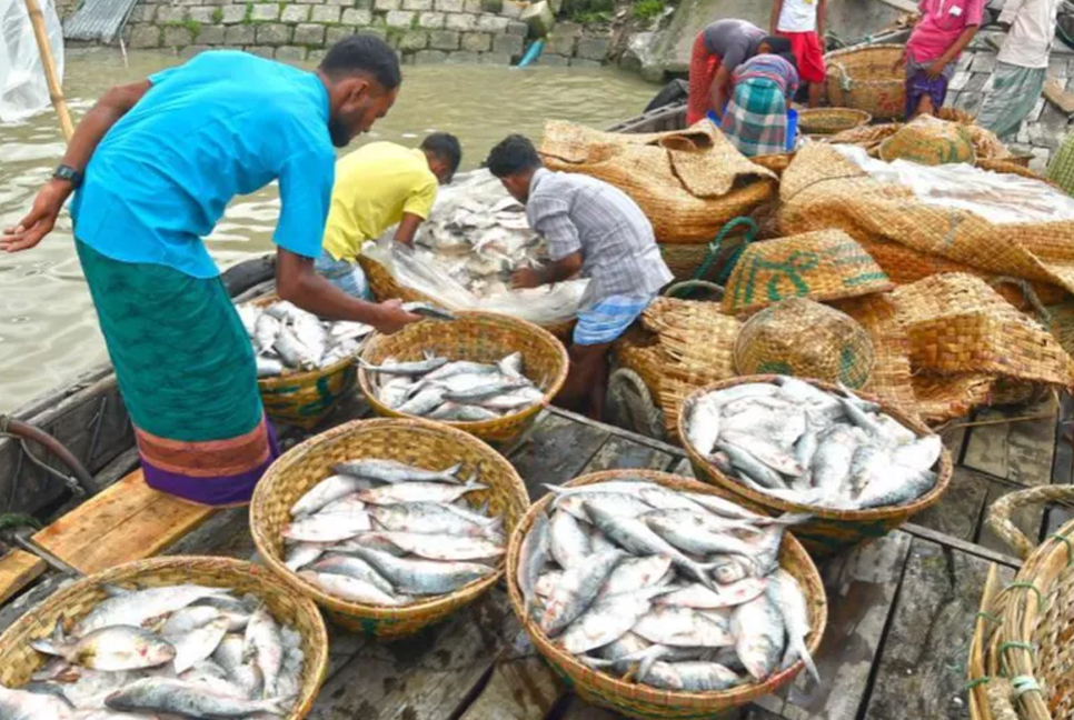 Aquaculture production overtakes capture fisheries for first time