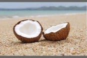 Coconut for summer skin and hair care