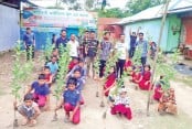 Tree plantation and distribution of saplings in Panchagarh