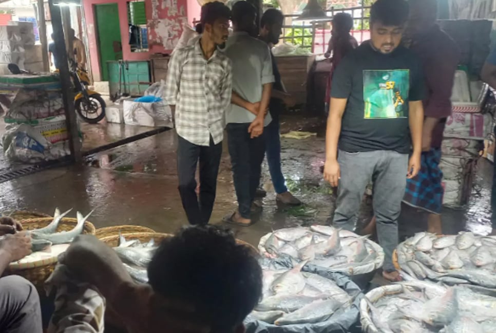 Hilsa prices remain high in Chandpur despite peak season