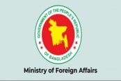 Foreign Ministry denounces corruption allegations against foreign cadre officials, citing audit objections misinterpretation